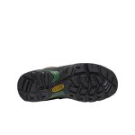 Men's Pittsburgh Energy 6 Waterproof Boot (Soft Toe)  |  Cascade Brown/Greener Pastures