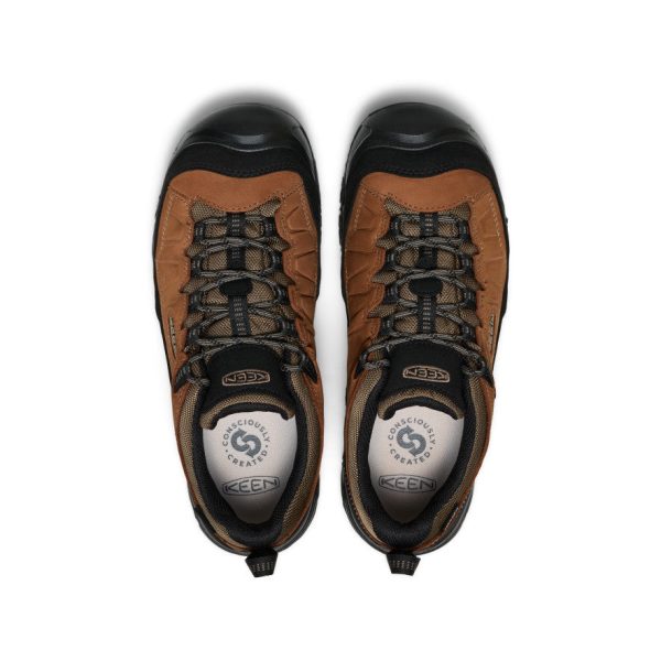 Men's Targhee IV Waterproof Hiking Shoe | Bison/Black