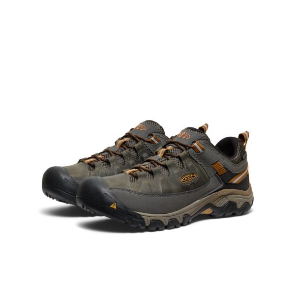 Men's Targhee III Waterproof  |  Black Olive/Golden Brown