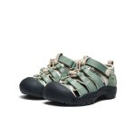 Little Kids' Newport H2  |  Lily Pad/Black