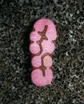 Men's Hyperport H2 Sandal x Hiking Patrol  |  Okenia Pink