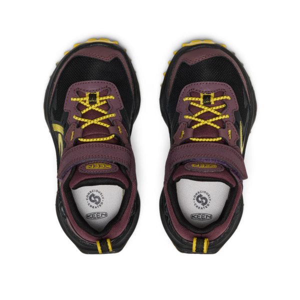 Little Kids' Zionic Waterproof Shoe  |  Huckleberry/Black
