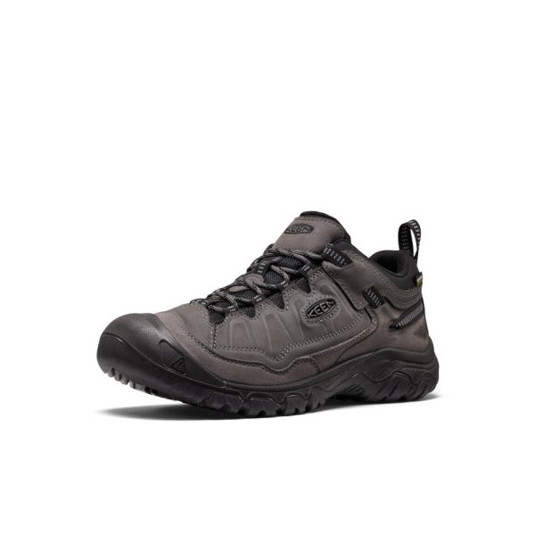 Men's Targhee IV Waterproof Hiking Shoe  |  Magnet/Black